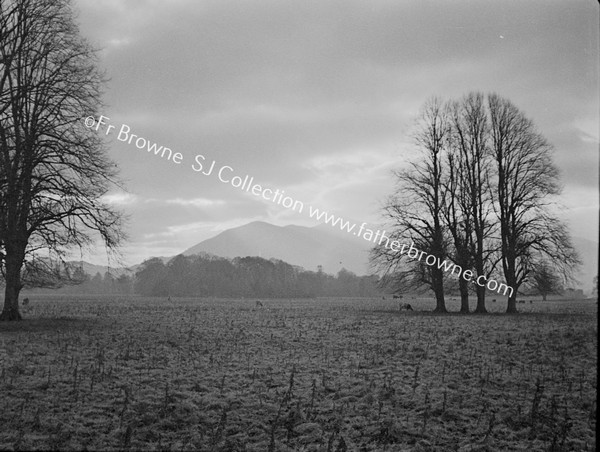 VARIOUS SHOTS IN DEMESNE CLOUDS OVER TOOMIES MOUNTAINS